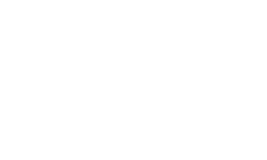 Amelia logo